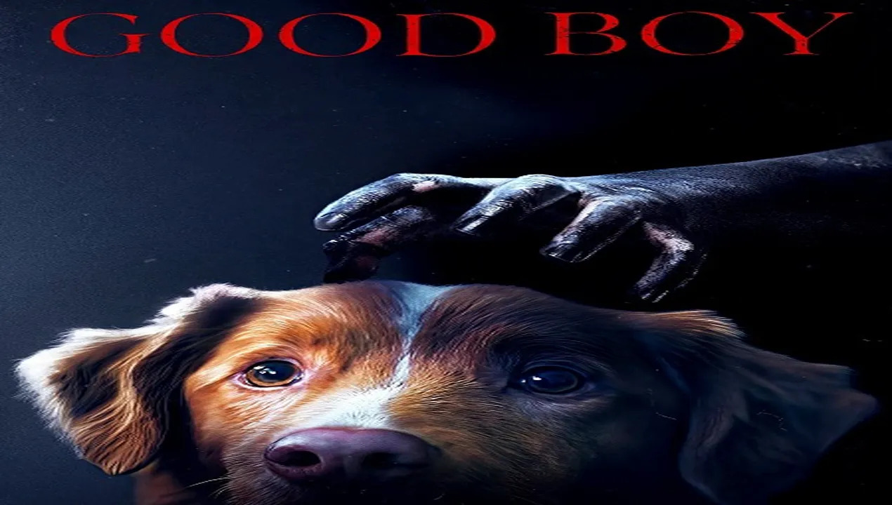فيلم Good Boy 2025 مترجم HD
